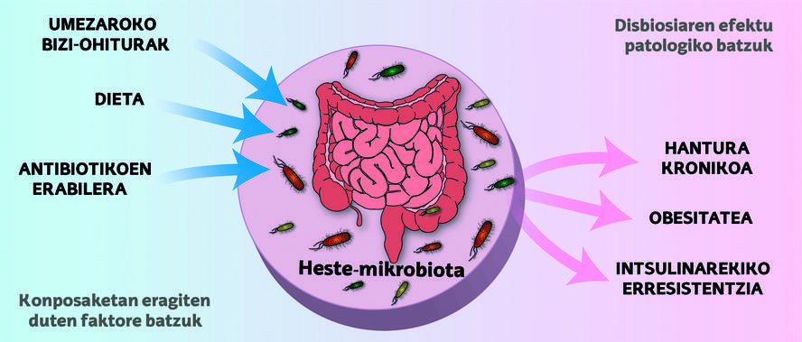 mikrobiota-eta-gaixotasun-metabolikoa