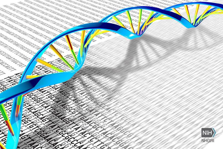 depresioarekin-lotutako-hainbat-gene-identifikatu