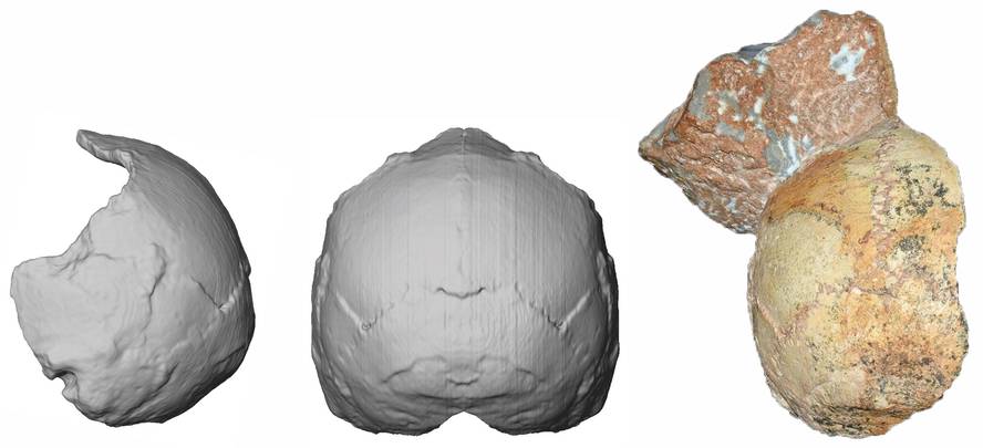 eurasiako-sapiens-zaharrena-identifikatu-dute-zala