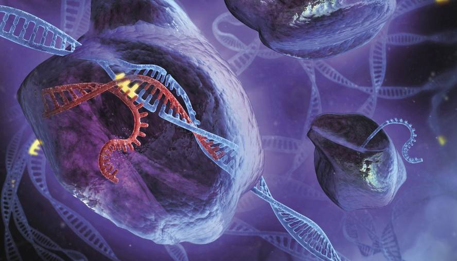 crispr-genoma-editatzeko-teknika-onurak-eta-kezkak