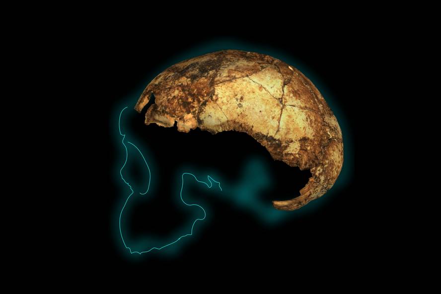 homo-erectus-hominidoaren-agerpena-atzeratu-dute