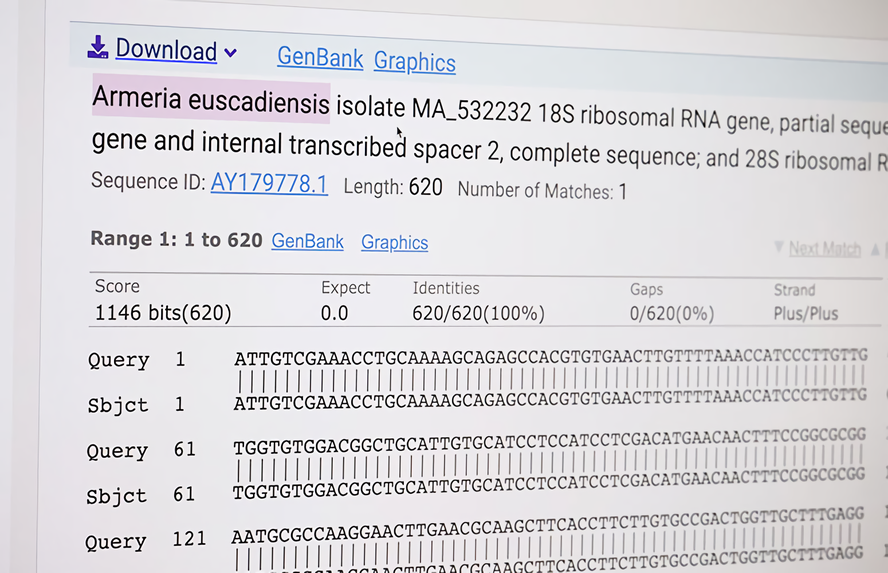 informazio-genetikorako-sarbidea-irekia-izan-dadin