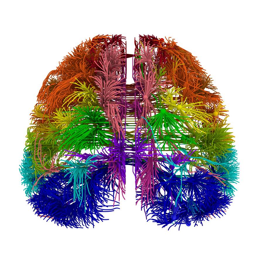 garunaren-bi-mapa-brain-proiektuaren-lehen-fruitua