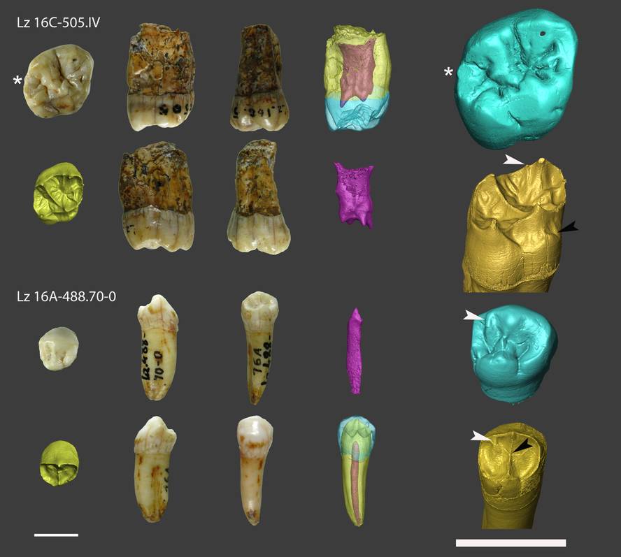 lezetxikin-neandertalak-oso-berandura-arte-bizi-iz