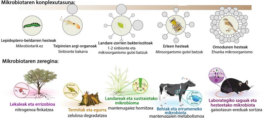 hologenomika-ostalari-eta-mikrobiotaren-arteko-int