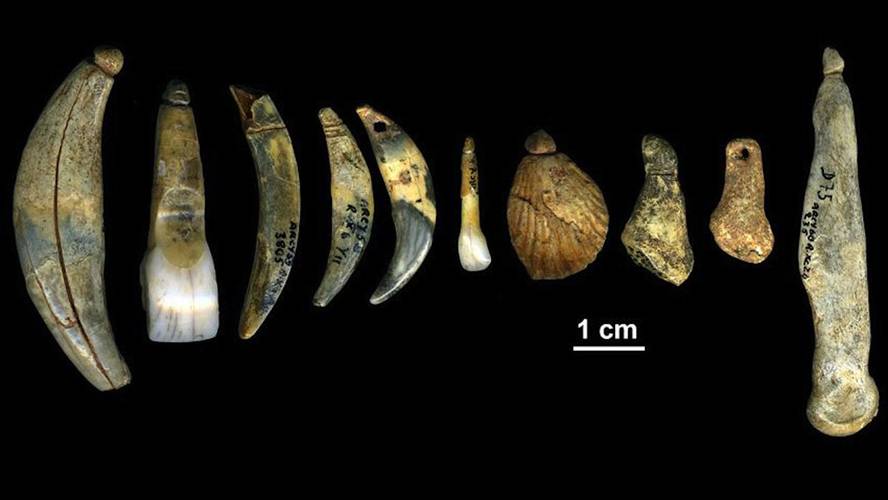 paleoproteomikak-erakutsi-du-neandertalek-bitxiak-