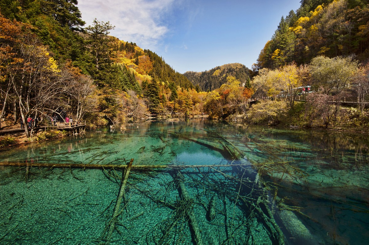 Jiuzhaigou bailara 