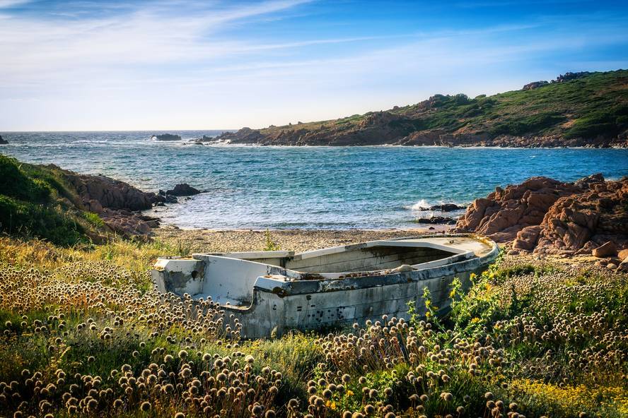 sardiniarrak-genetikoki-populazio-bereizia-direla-