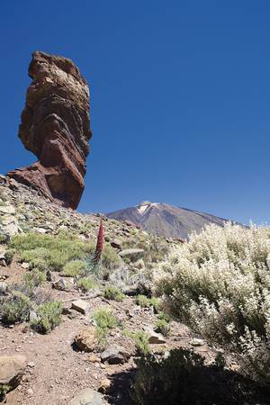 Turismo de Tenerife