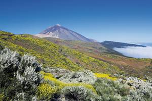 Turismo de Tenerife