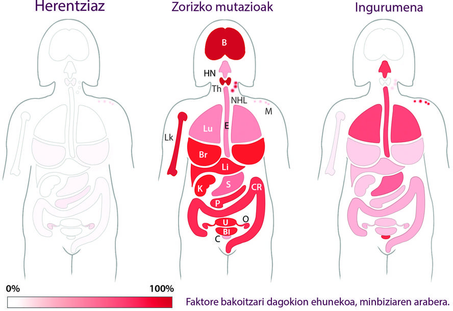 dna-kopiatzerakoan-ematen-diren-zorizko-akatsak-di